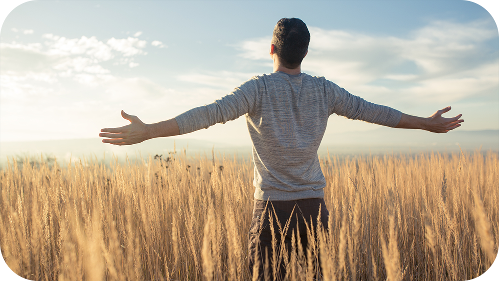 Man facing away from the camera with arms wide standing in the sun in a grassy field